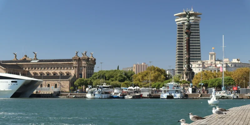 Barcelona der vergiftete mittelmeer kleingefleckter katzenhai hat hohe quecksilberwerten