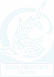 Beqa divers logo