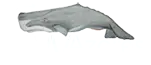CW Azores logo