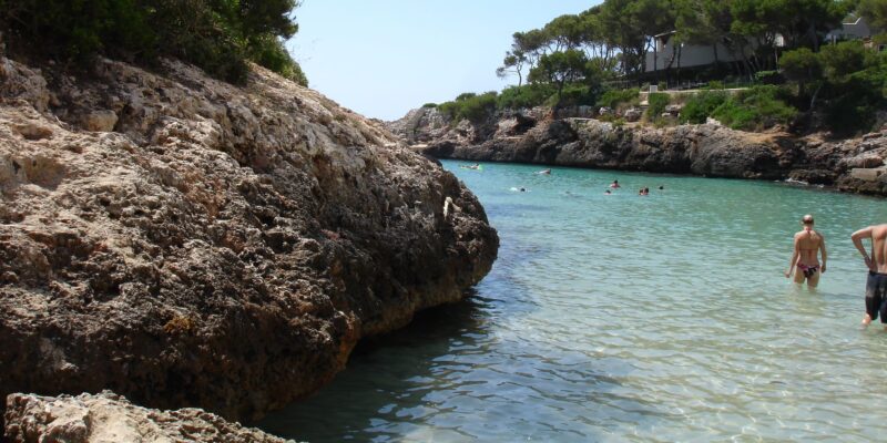 Hai alarm am ballermann mallorca