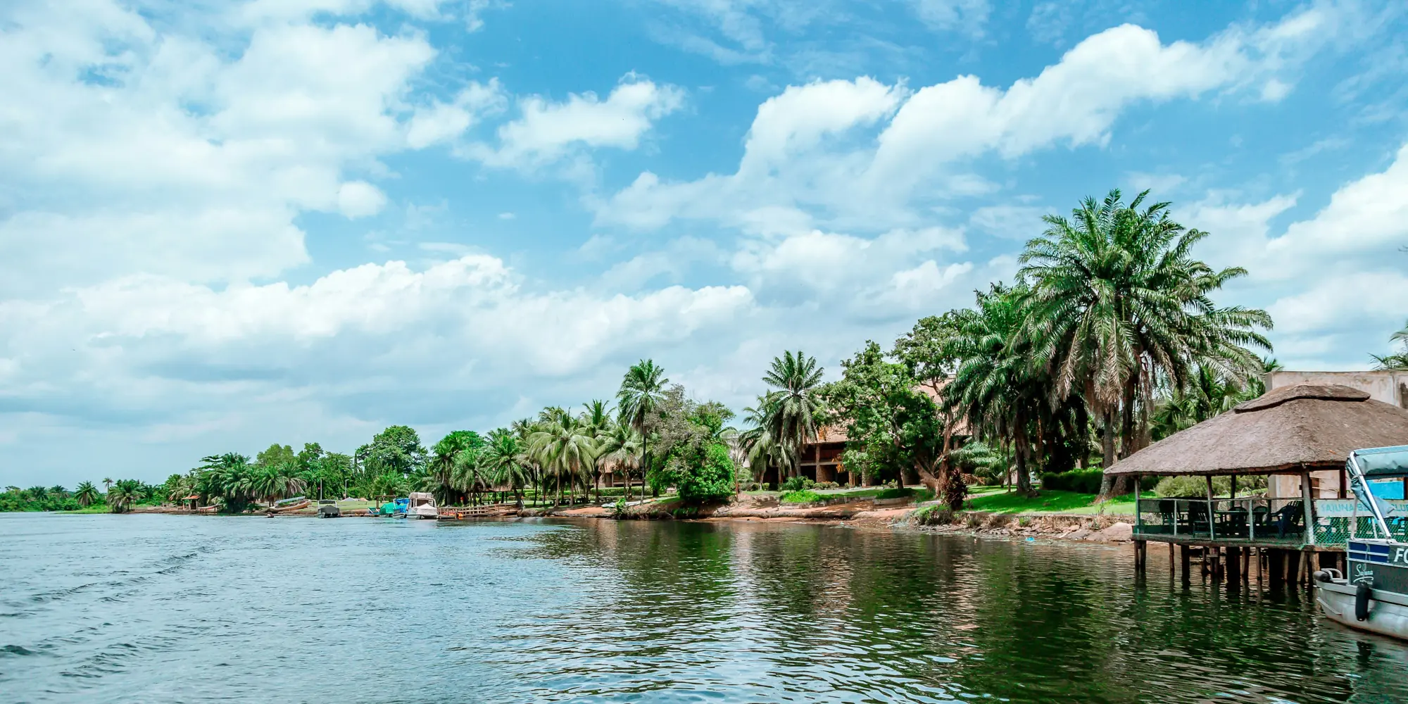 在加纳与鲨鱼潜水,水边的竹屋与棕榈树