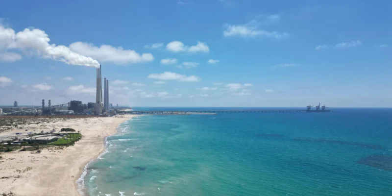 Hadera israel kraftwerk haiangriff shark attack