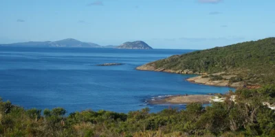 澳大利亚 Michaelmas Island 附近的鲨鱼袭击