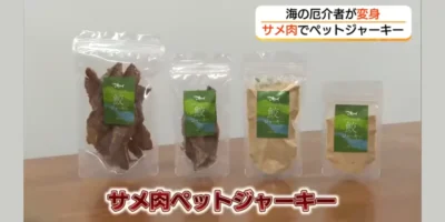 TSK/FNN报道中展示的四袋智头町鲨鱼肉宠物零食，包括肉干和粉末